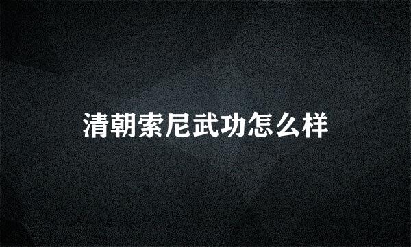 清朝索尼武功怎么样