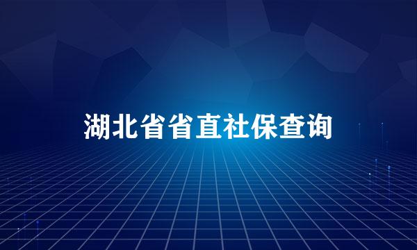 湖北省省直社保查询