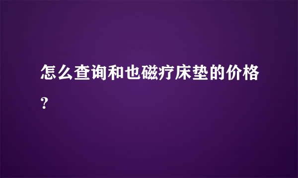 怎么查询和也磁疗床垫的价格？