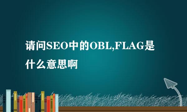 请问SEO中的OBL,FLAG是什么意思啊