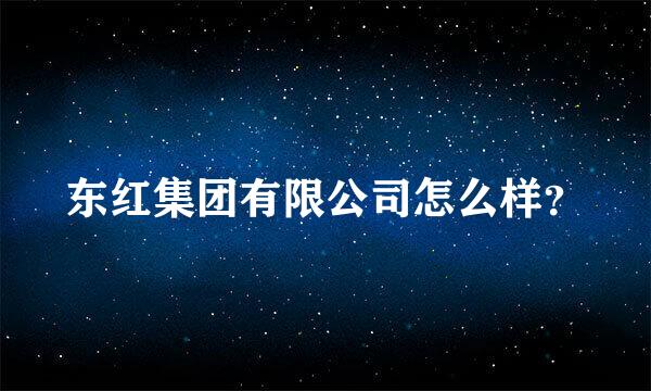 东红集团有限公司怎么样？