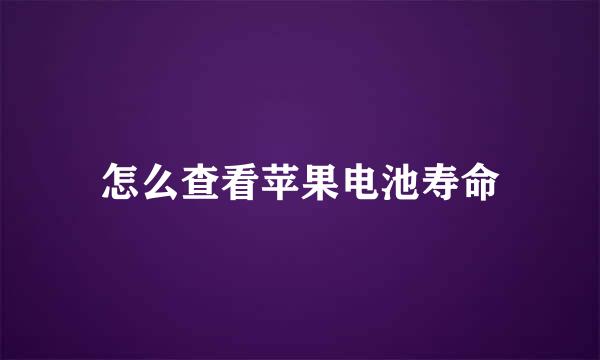 怎么查看苹果电池寿命