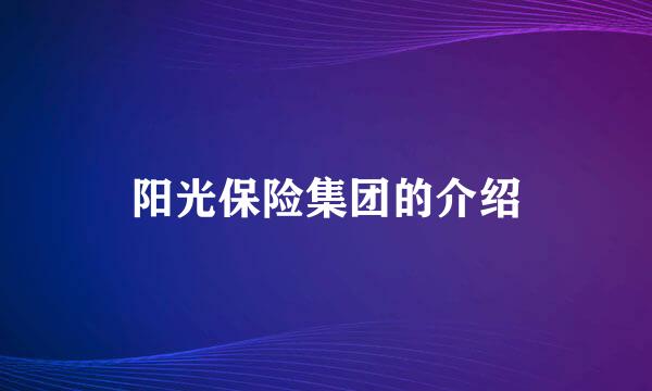 阳光保险集团的介绍