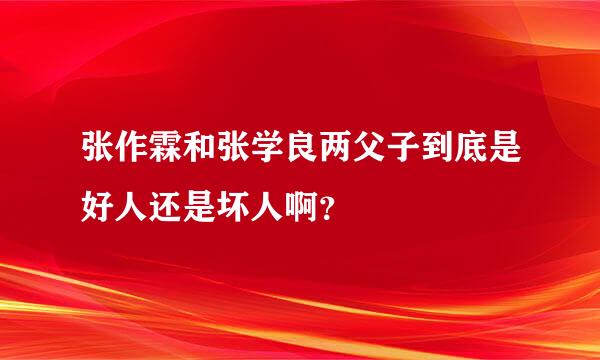 张作霖和张学良两父子到底是好人还是坏人啊？