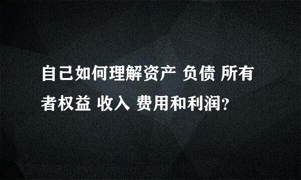 自己如何理解资产 负债 所有者权益 收入 费用和利润？