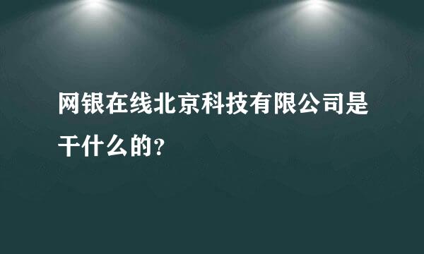 网银在线北京科技有限公司是干什么的？