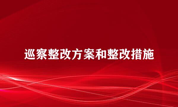 巡察整改方案和整改措施