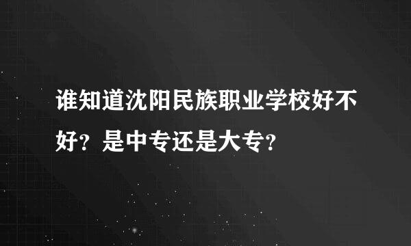 谁知道沈阳民族职业学校好不好？是中专还是大专？