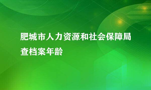 肥城市人力资源和社会保障局查档案年龄