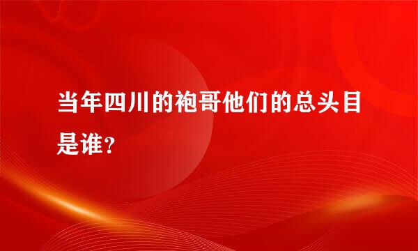 当年四川的袍哥他们的总头目是谁？