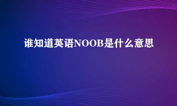 谁知道英语NOOB是什么意思