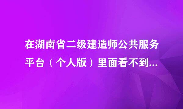 在湖南省二级建造师公共服务平台（个人版）里面看不到申报内容是不是就是企业还未给你申报？