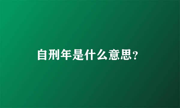 自刑年是什么意思？