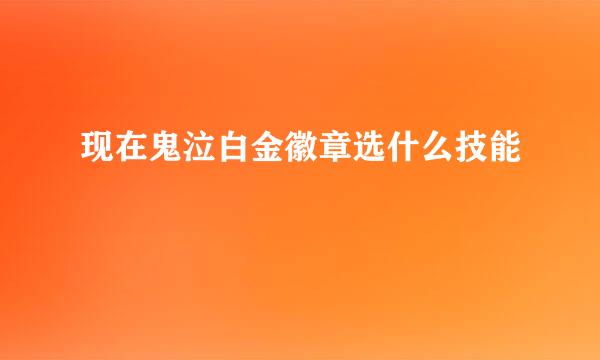 现在鬼泣白金徽章选什么技能