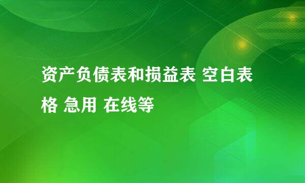 资产负债表和损益表 空白表格 急用 在线等