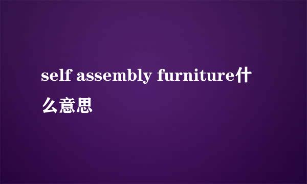 self assembly furniture什么意思