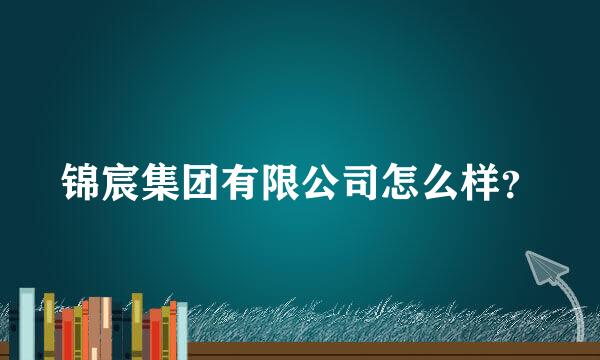 锦宸集团有限公司怎么样？