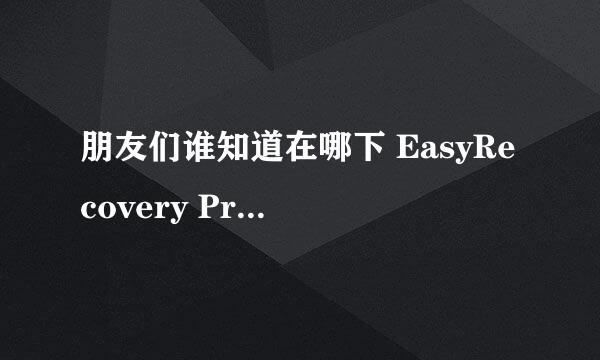 朋友们谁知道在哪下 EasyRecovery Pro v6.10 正式注册版（带注册码或其它注册方式