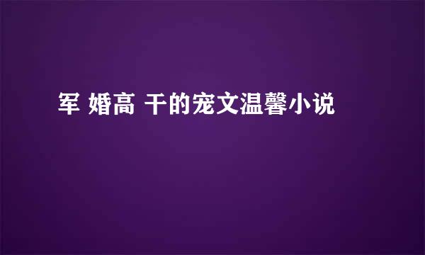 军 婚高 干的宠文温馨小说