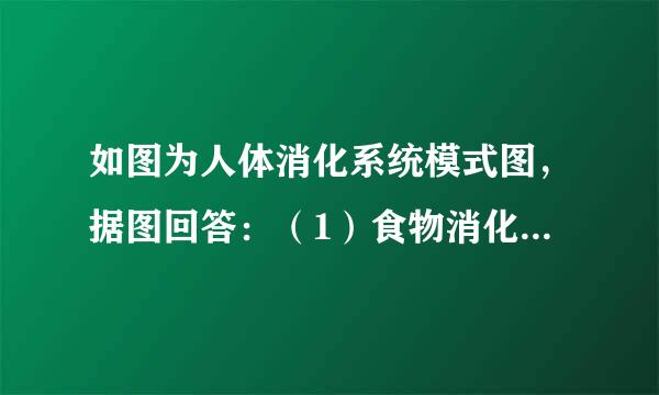 如图为人体消化系统模式图，据图回答：（1）食物消化的起始器官是______，在这里，细嚼馒头会有甜味，是