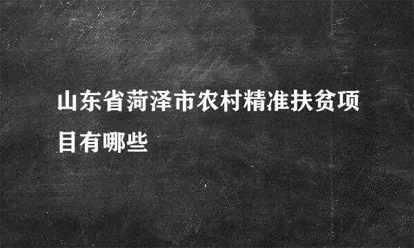 山东省菏泽市农村精准扶贫项目有哪些