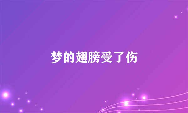 梦的翅膀受了伤