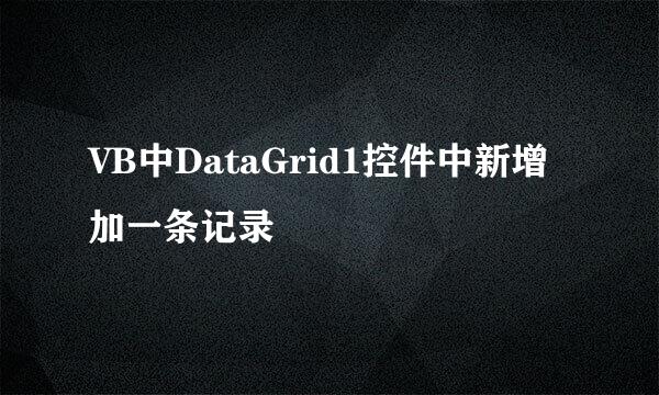 VB中DataGrid1控件中新增加一条记录