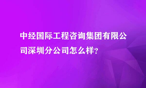 中经国际工程咨询集团有限公司深圳分公司怎么样？