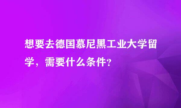 想要去德国慕尼黑工业大学留学，需要什么条件？