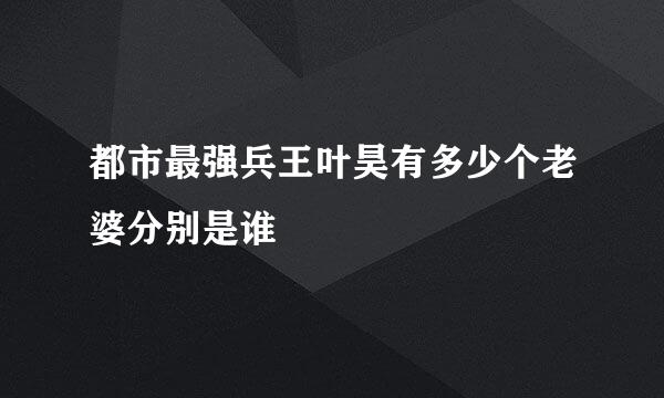 都市最强兵王叶昊有多少个老婆分别是谁