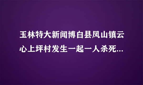 玉林特大新闻博白县凤山镇云心上坪村发生一起一人杀死4人命案是为什么