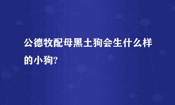 公德牧配母黑土狗会生什么样的小狗?