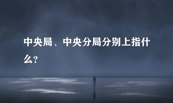 中央局、中央分局分别上指什么？