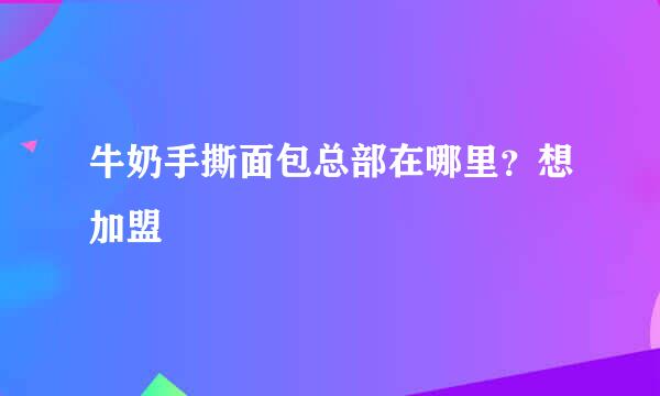 牛奶手撕面包总部在哪里？想加盟