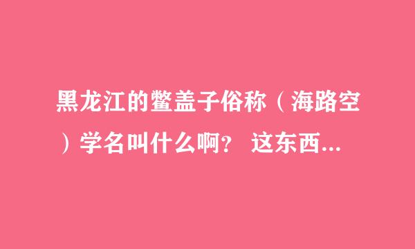 黑龙江的鳖盖子俗称（海路空）学名叫什么啊？ 这东西可以搞人工养殖吗？？？