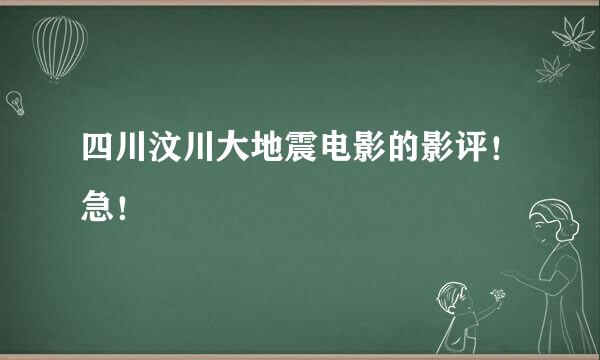 四川汶川大地震电影的影评！急！