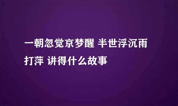 一朝忽觉京梦醒 半世浮沉雨打萍 讲得什么故事