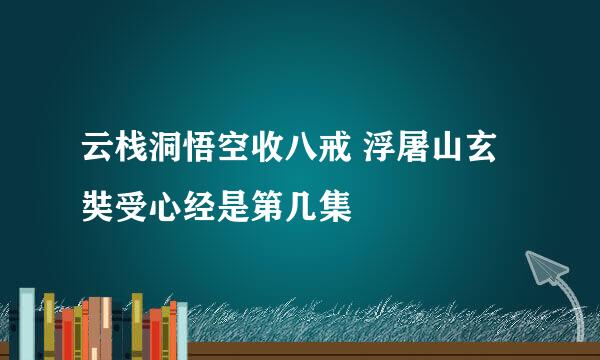 云栈洞悟空收八戒 浮屠山玄奘受心经是第几集