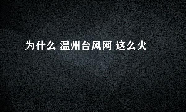 为什么 温州台风网 这么火