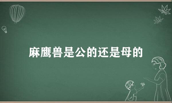 麻鹰兽是公的还是母的