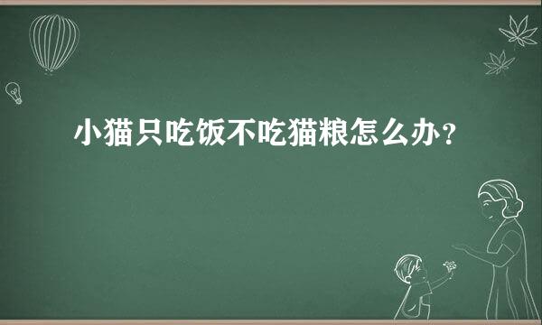 小猫只吃饭不吃猫粮怎么办？