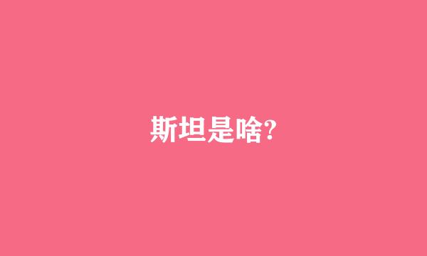 斯坦是啥?