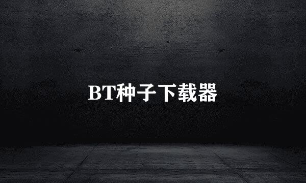 BT种子下载器