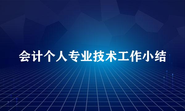 会计个人专业技术工作小结