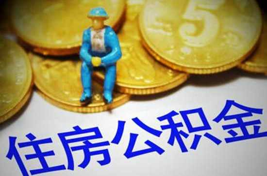 向公司申请交公积金请问申请书怎么写