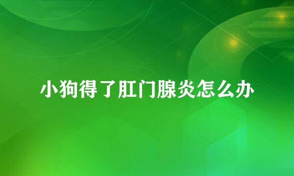 小狗得了肛门腺炎怎么办