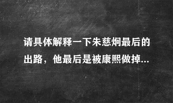 请具体解释一下朱慈炯最后的出路，他最后是被康熙做掉了还是正常坐化了