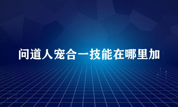 问道人宠合一技能在哪里加