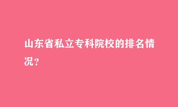 山东省私立专科院校的排名情况？