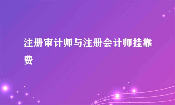 注册审计师与注册会计师挂靠费